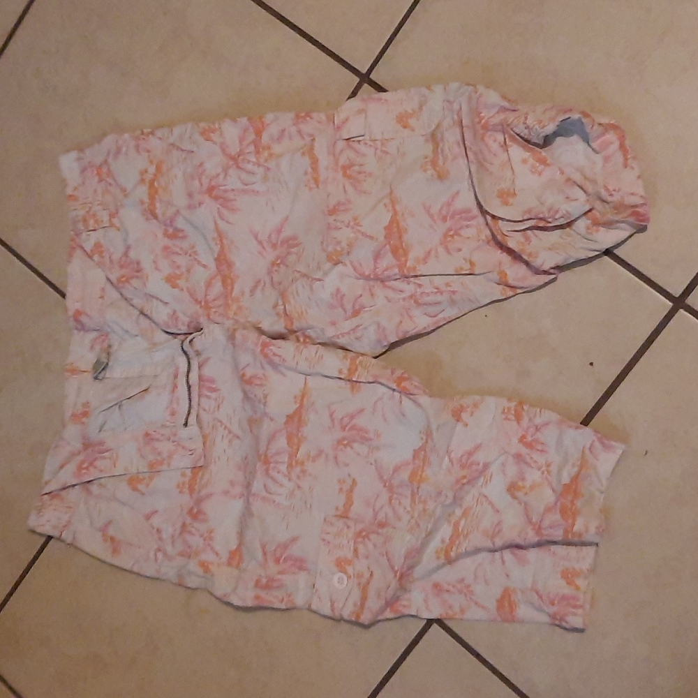LL Bean Shorts (W259)